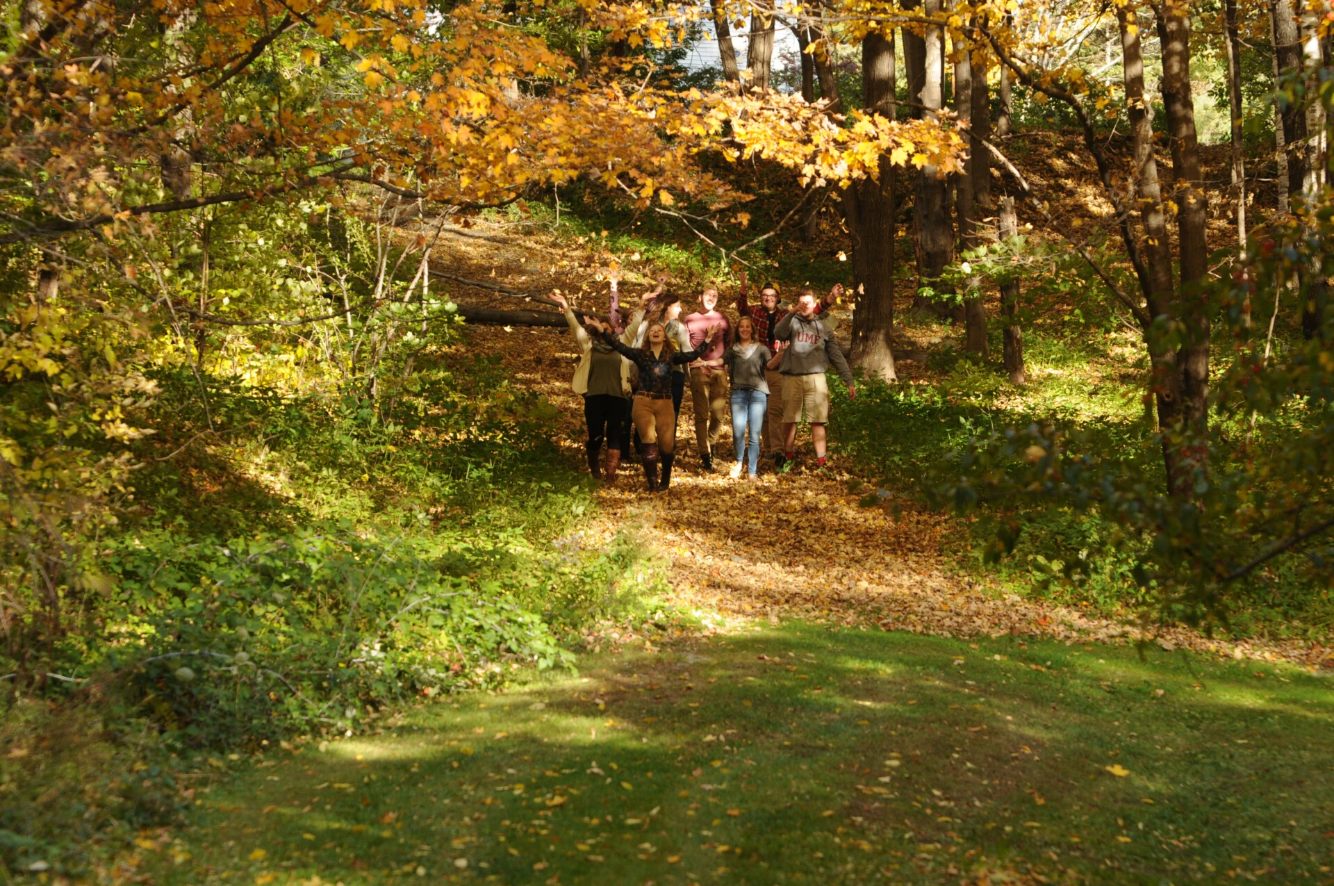 a group of students walking through the forest