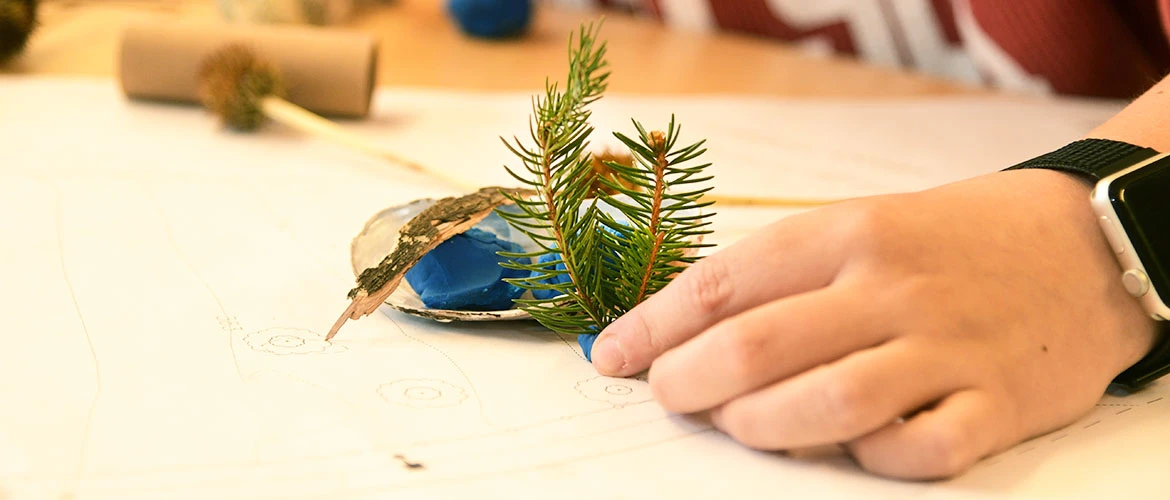 Table with items from nature: Twigs, shells, bark.