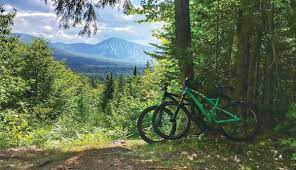 Mtn. Bike next to trees over looking a mountain range