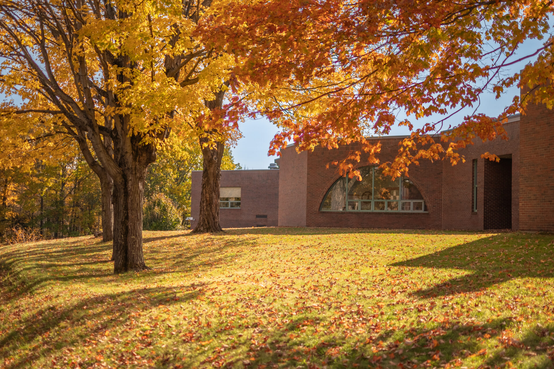 Campus at Fall