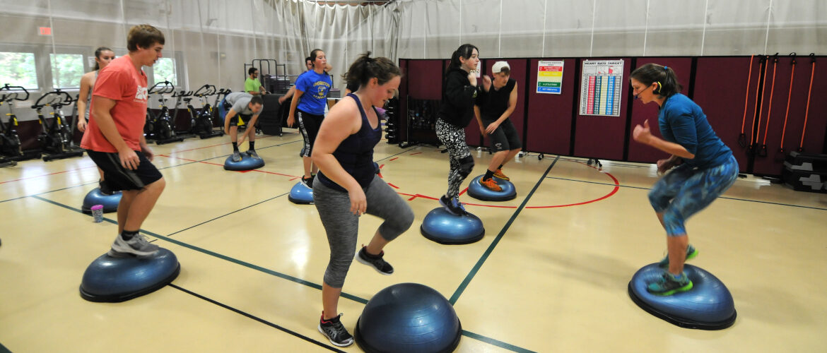 A group of people participating in a group fitness class.