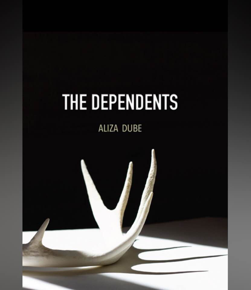 Book cover for The Dependents