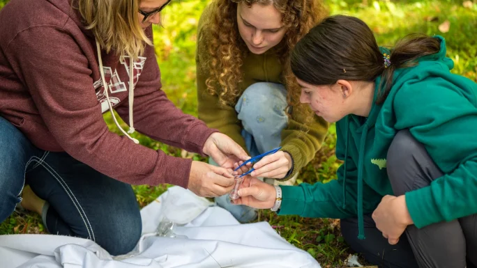 UMF improves student retention, workforce preparation by tripling enrollment in hands-on Research Learning Experiences