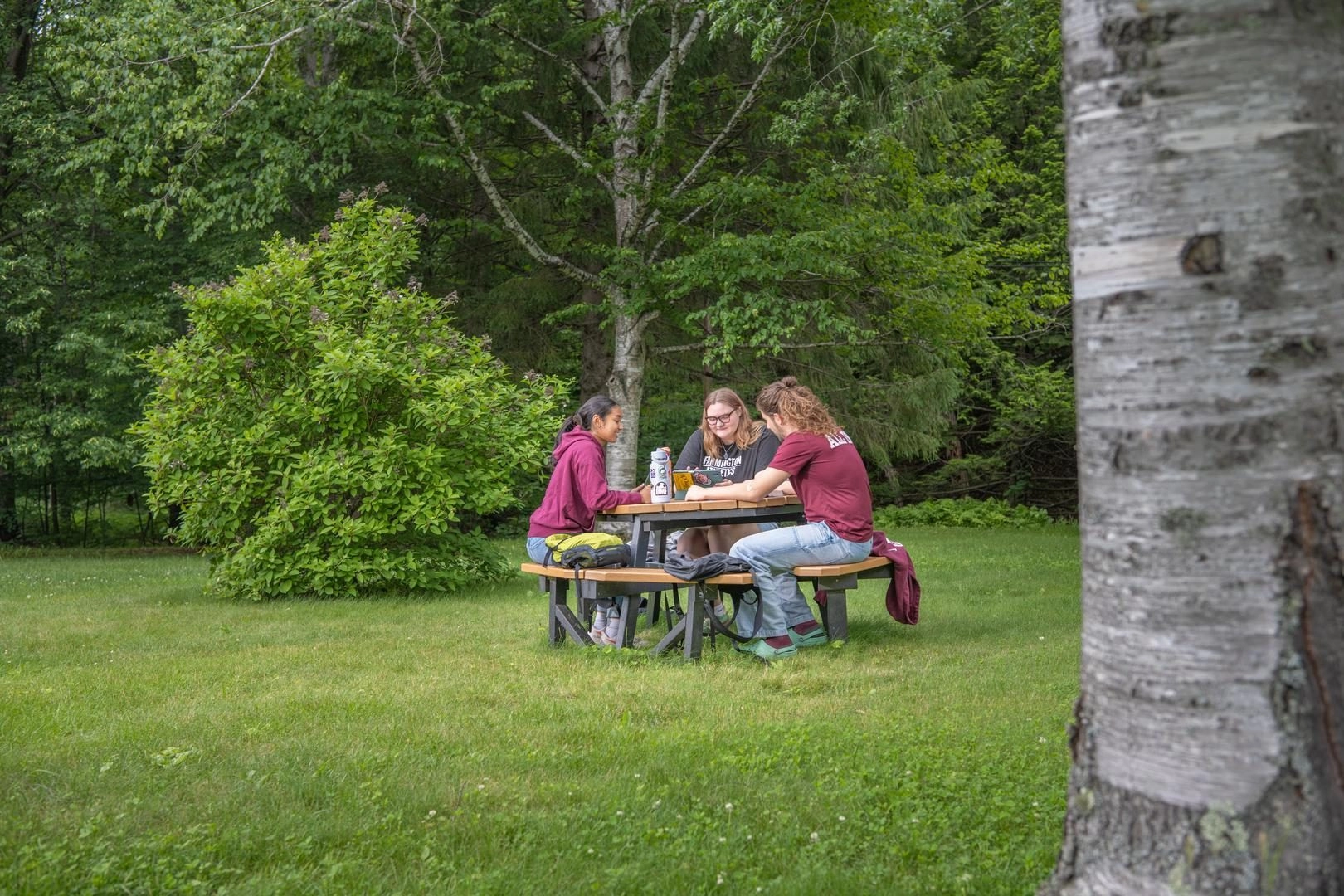 Students sitting at table outside in park
