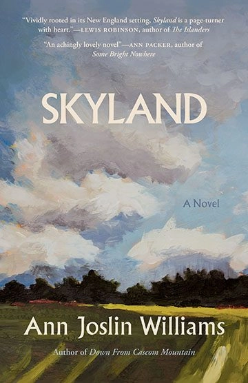 Skyland book cover
